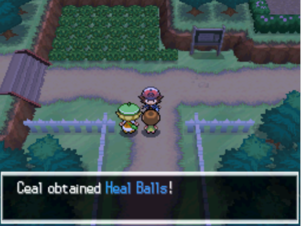 puts the balls in heal balls.png