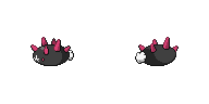 pyukumuku.png