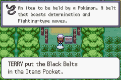 Radical Red 3.1_46.png