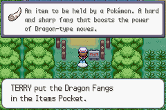 Pokemon Radical Red Some Key Items - Just Some Cheat Codes