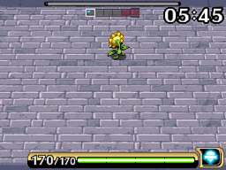 raichu3.gif