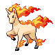 rapidash.png