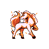 rapidash.png