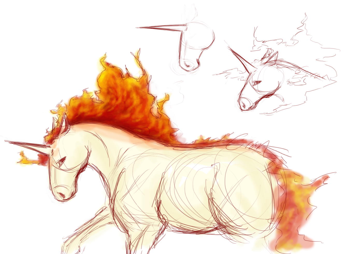 rapidash-sketch.png