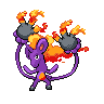 rapipom.png