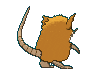 raticate.gif