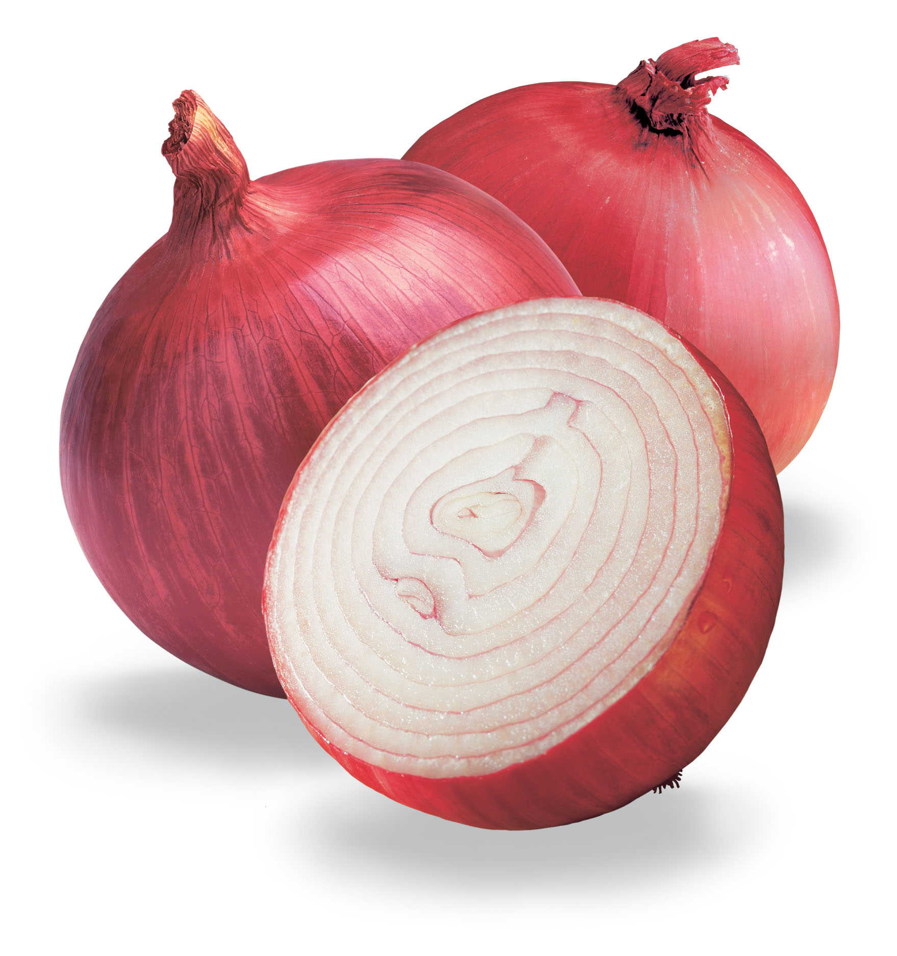 red_onions-1.jpg