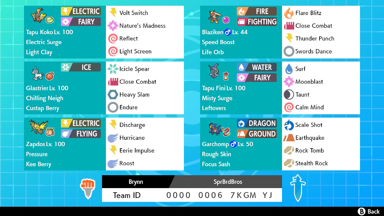 Rental Team - Super Bird Bros Final.jpg