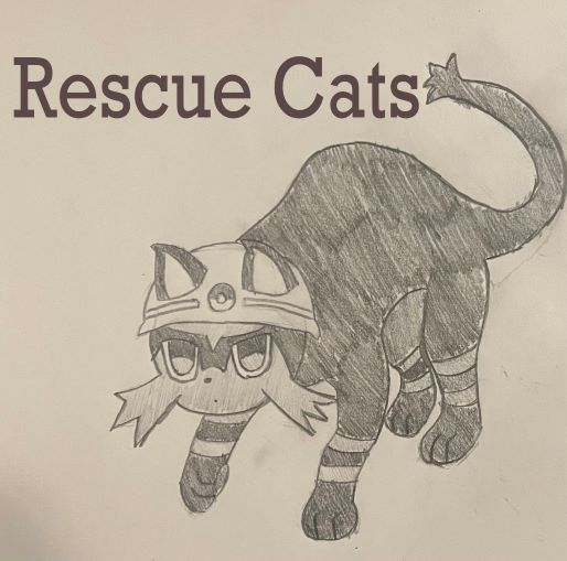 rescue_cats_2.jpg