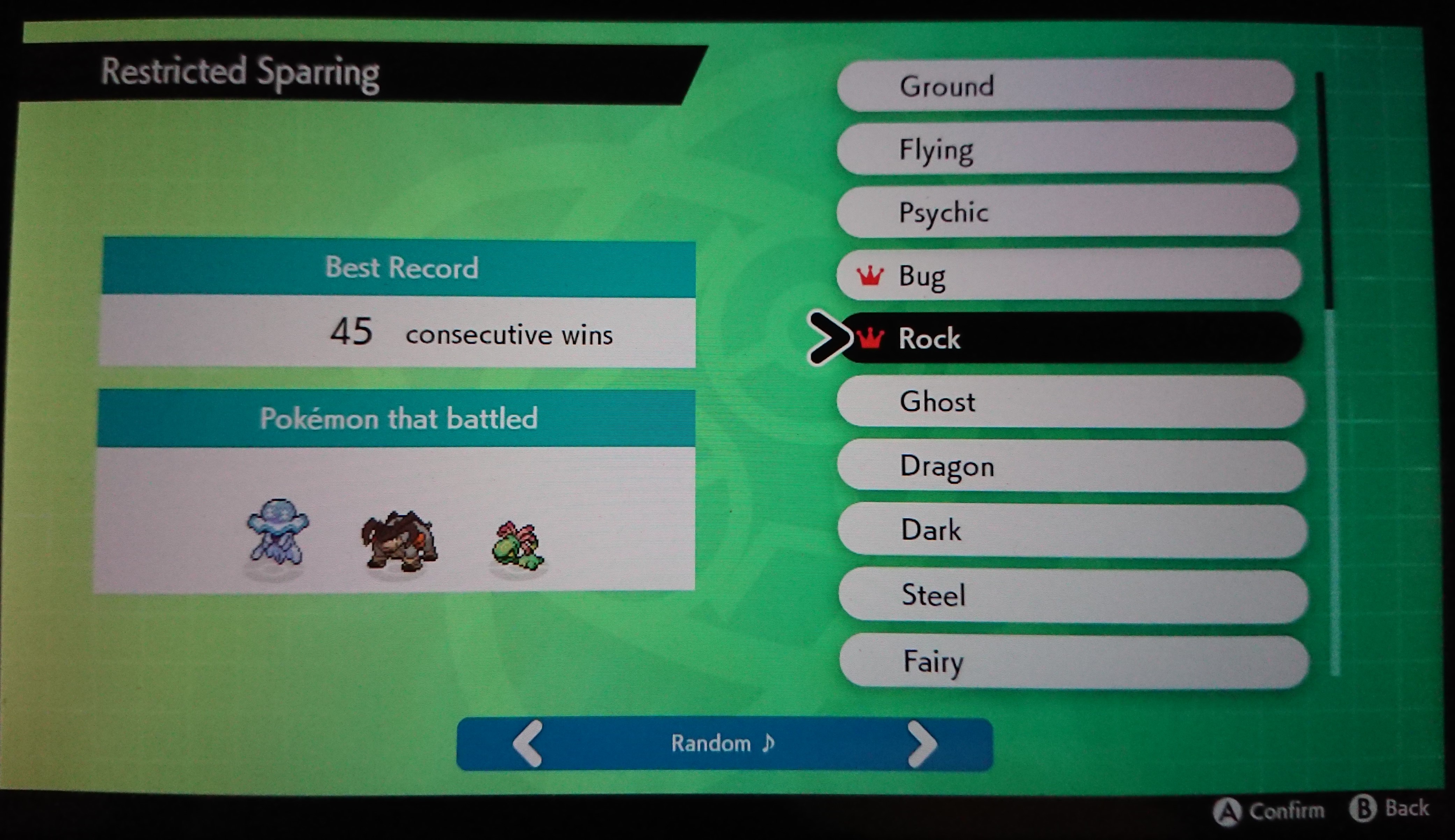 restricted_sparring_rock.JPG