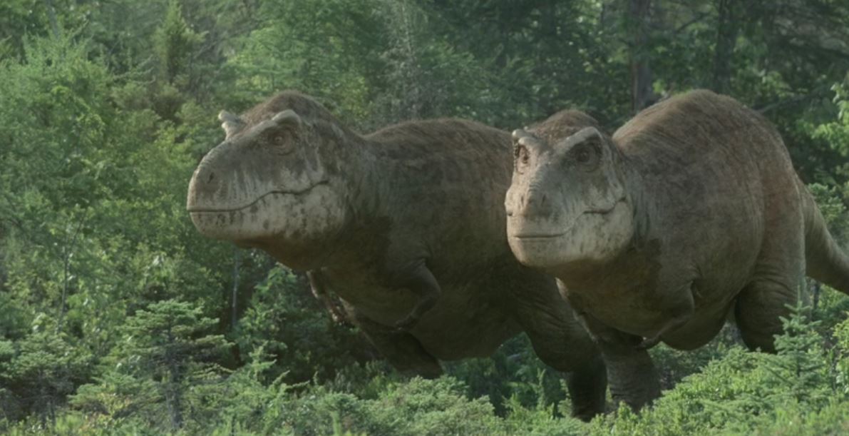 Rex1.jpg