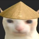 ricecat.png