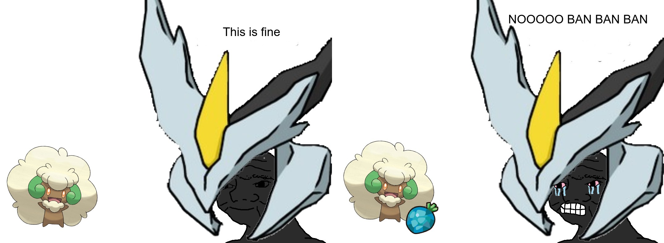 rip-whimsi-jpg.259714
