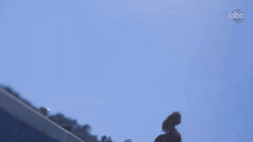 ronnied-water.gif