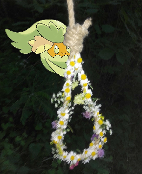 Ropekun.png