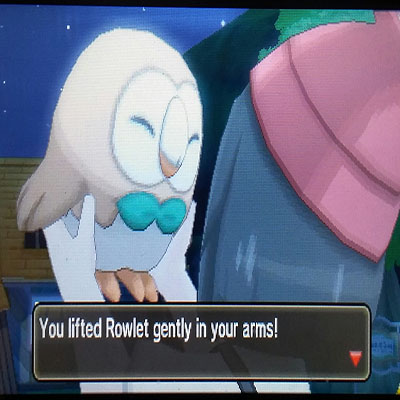 rowlet.jpg