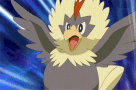 rufflet-air.gif