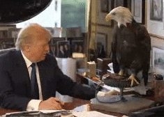 safe_image.gif