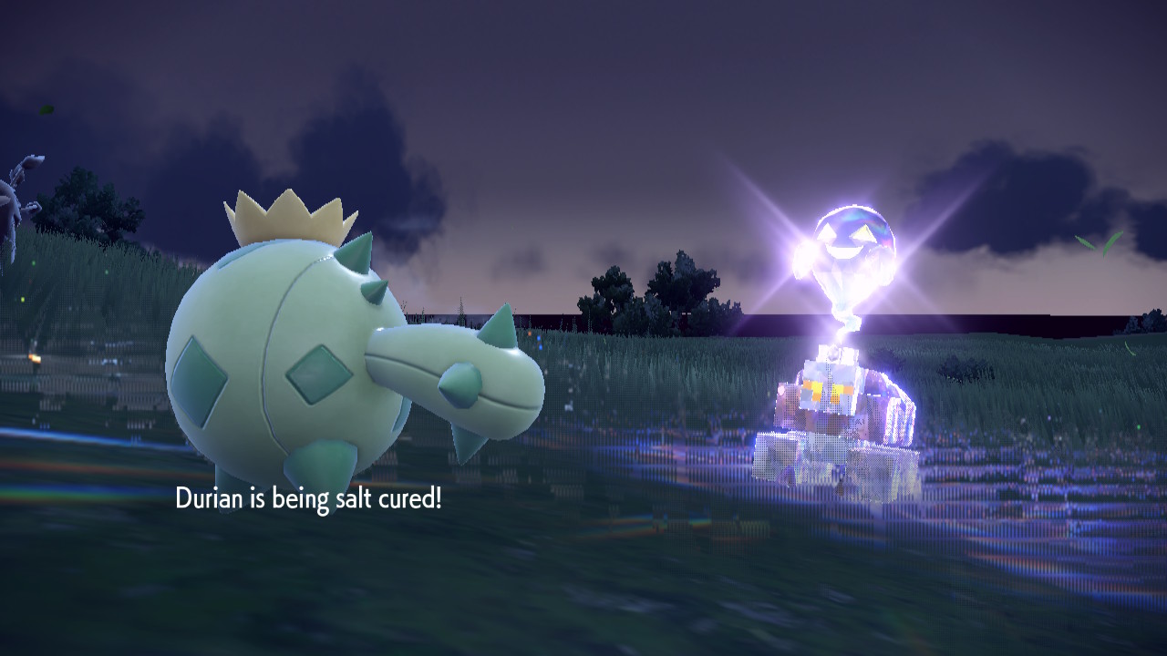 Salt Cured.jpg