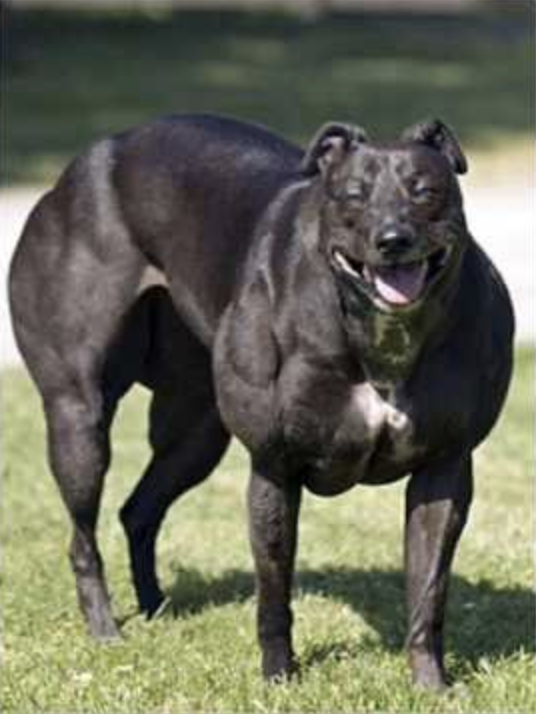 Screen Shot 2021-09-19 at 1.23.51 PM.png