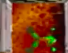 Screen Shot 2024-06-21 at 1.11.33 PM.png