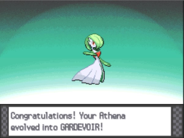 Screenshot 2024-04-18 144412.jpg