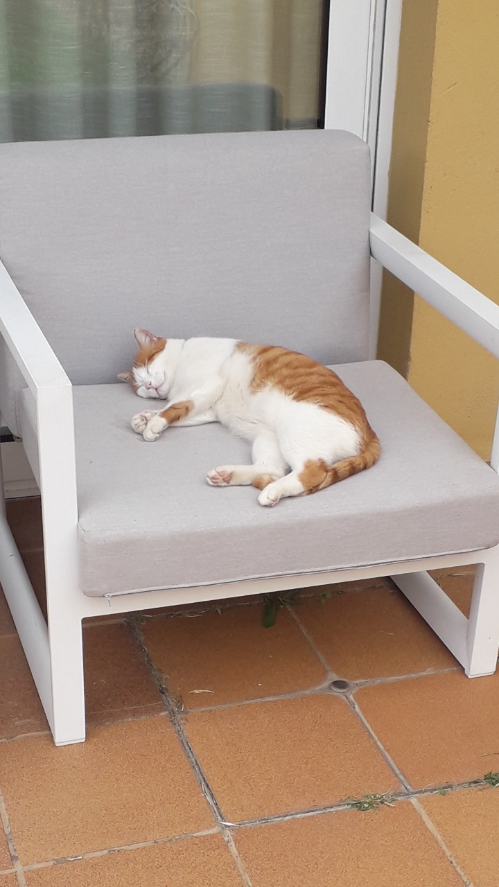 Screenshot_20191015-190908_Gallery.jpg