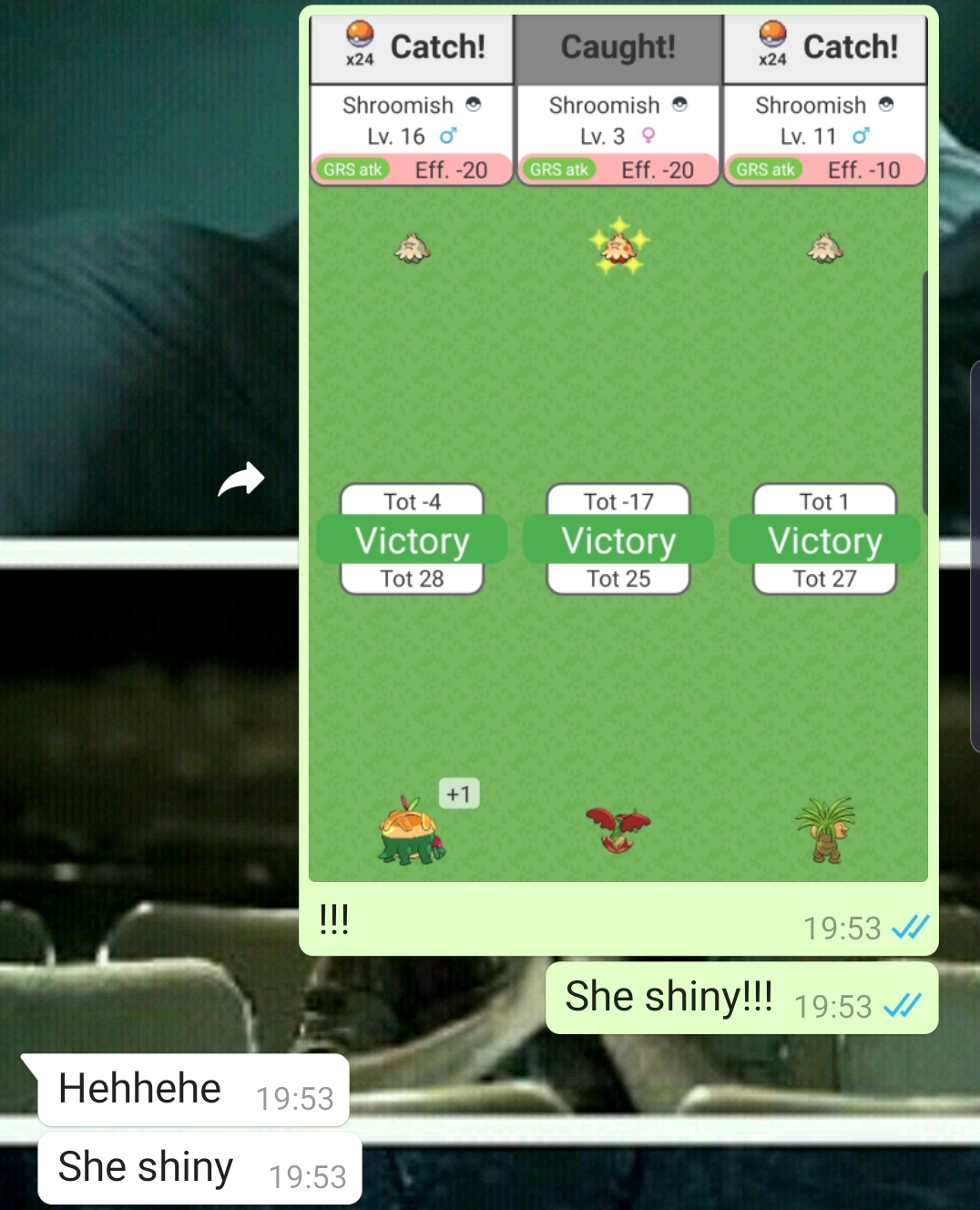 Screenshot_20210602-221908_WhatsApp.jpg
