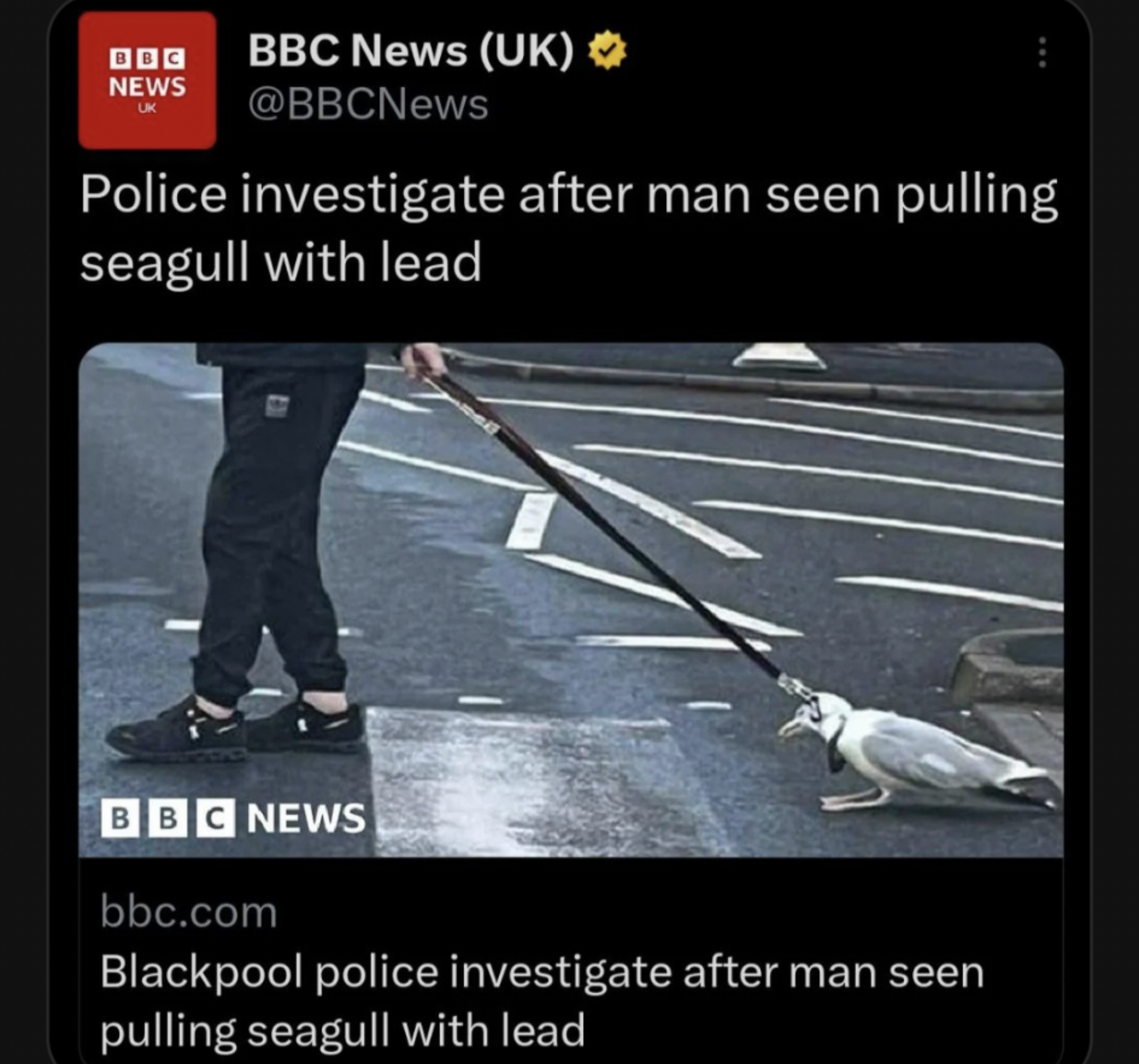 Screenshot_20230417-192122.png