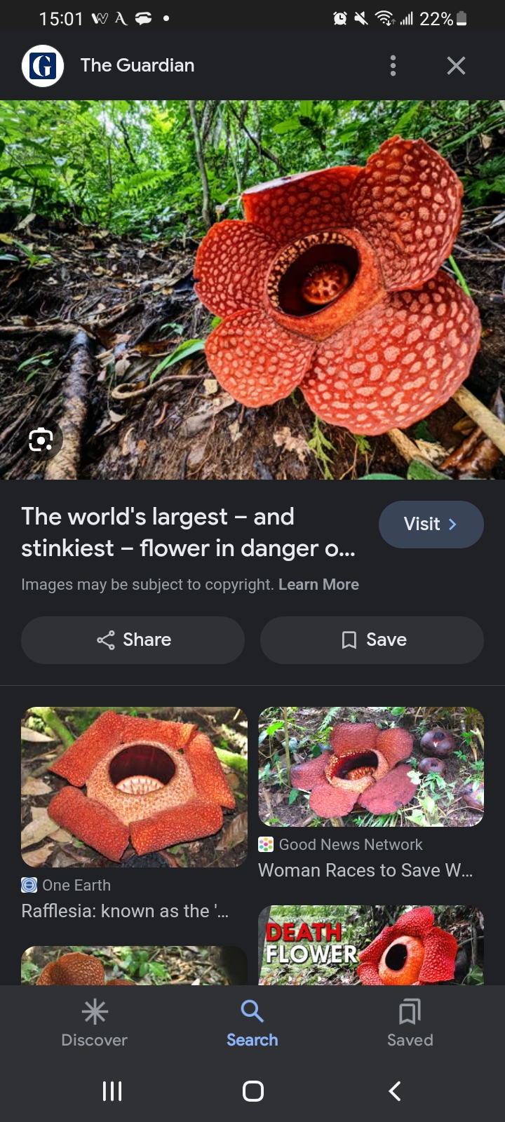 Screenshot_20231217_150115_Google.jpg