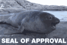 seal of approval.gif