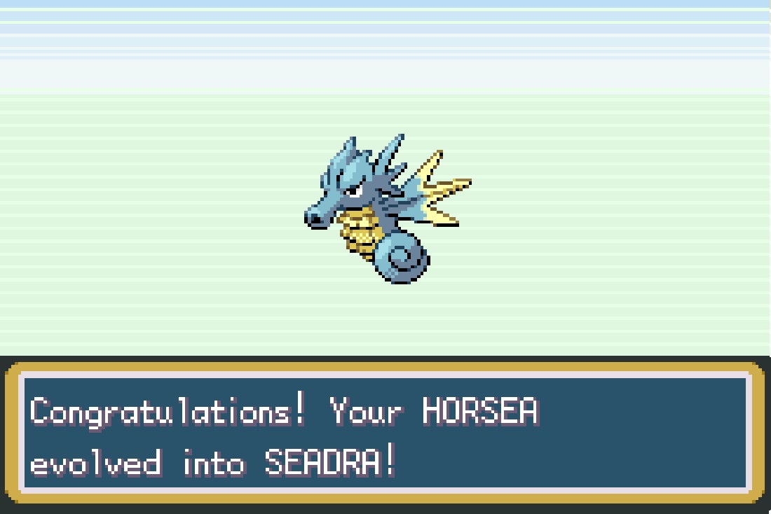 seedrah.jpg