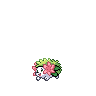 shaymin-land.gif