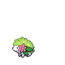 shaymin.png
