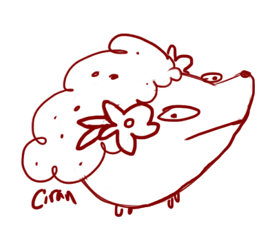 shaymin.png