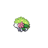 shaymin.png