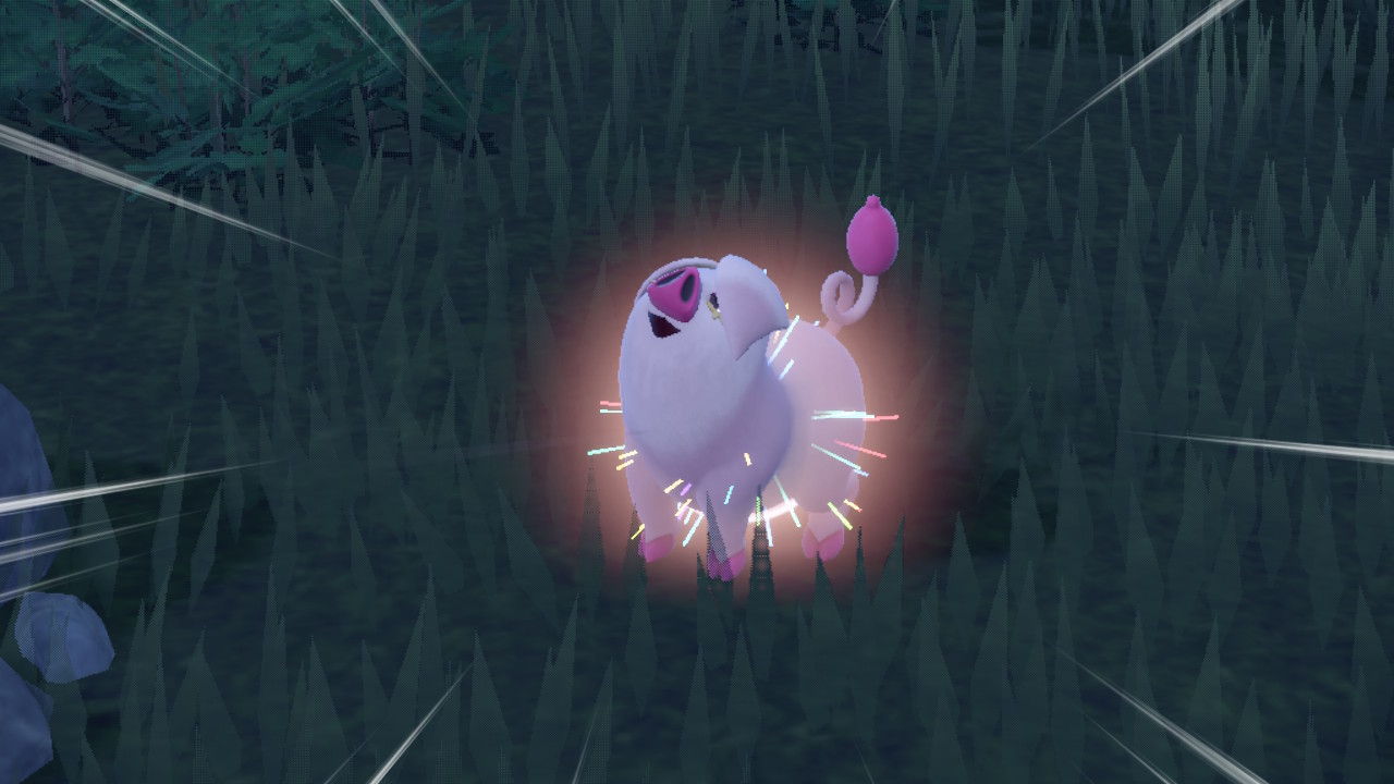 Shiny Pig.jpg