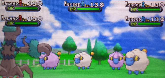 shiny.png