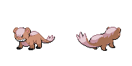 shiny yungoos.png