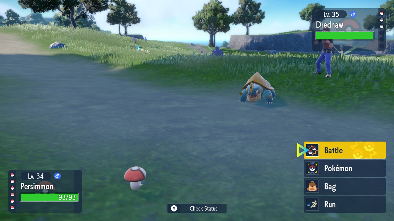 Shroom and Turtle.jpg