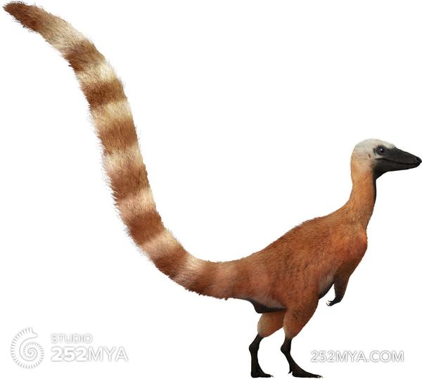 sinosauropteryx-prima2_julio-lacerda_grande.jpg
