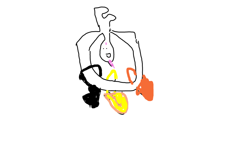 sketch-65611750.png