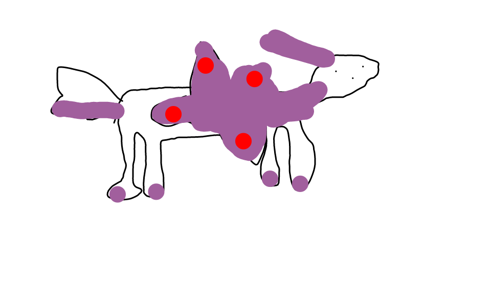 sketch-65611802.png