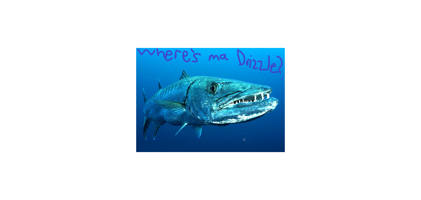 skewdaskewda.png