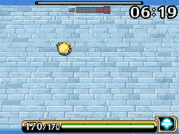 skorupi1.gif