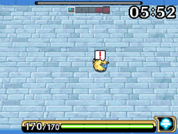 skorupi3.gif