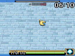skorupi5.gif