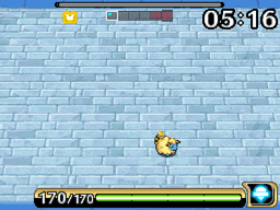 skorupi6.gif