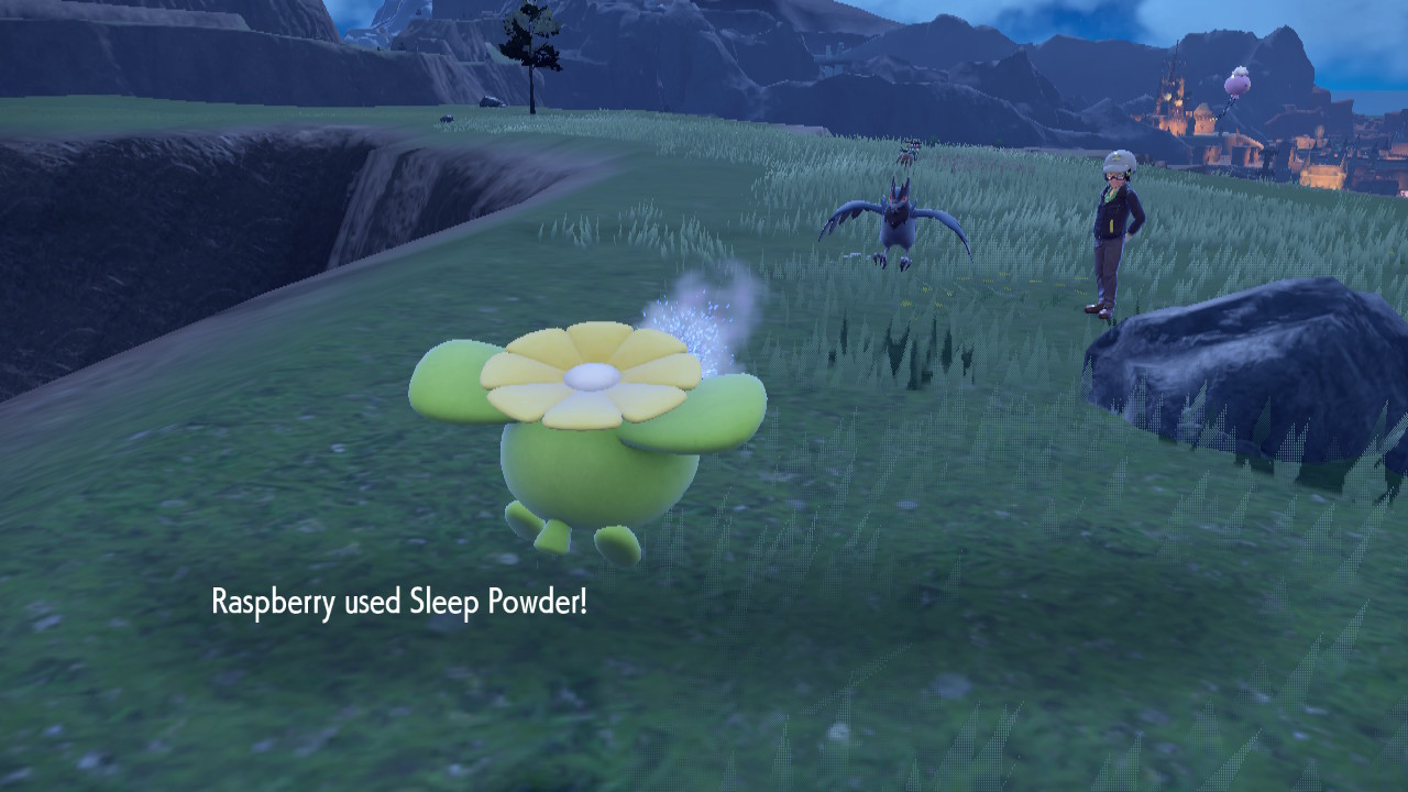 Sleepy Raven.jpg