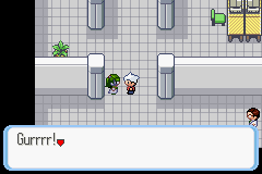 SnakewoodLP109.png
